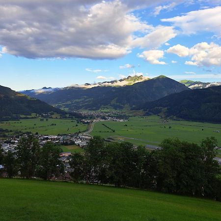 Areithof Daire Zell am See Dış mekan fotoğraf