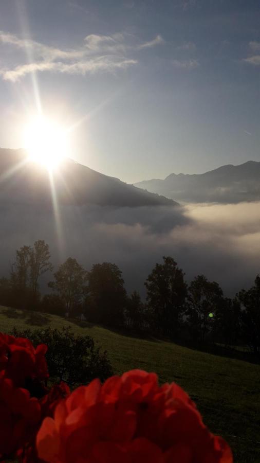 Areithof Daire Zell am See Dış mekan fotoğraf