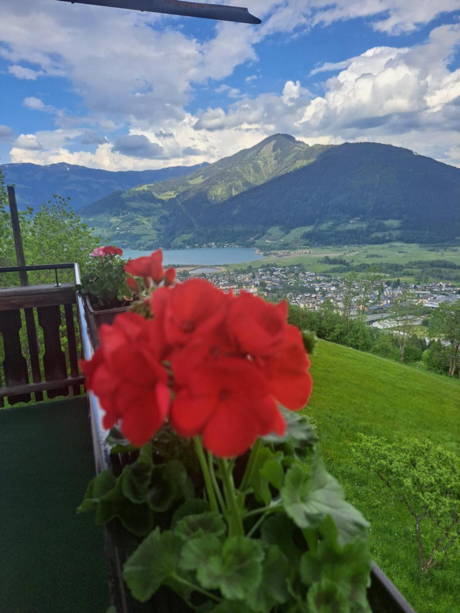 Areithof Daire Zell am See Dış mekan fotoğraf