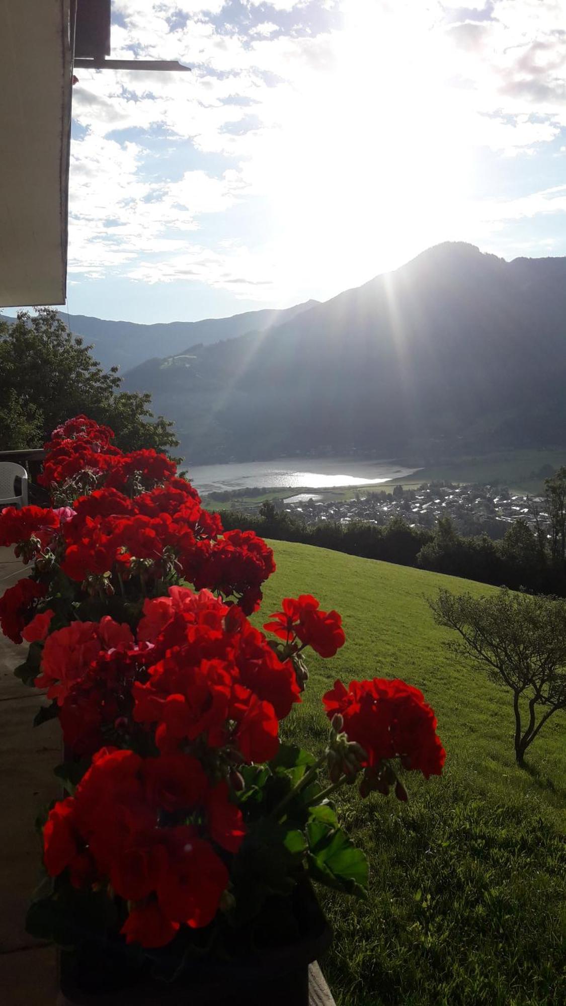 Areithof Daire Zell am See Dış mekan fotoğraf