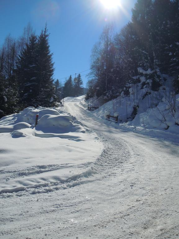 Areithof Daire Zell am See Dış mekan fotoğraf