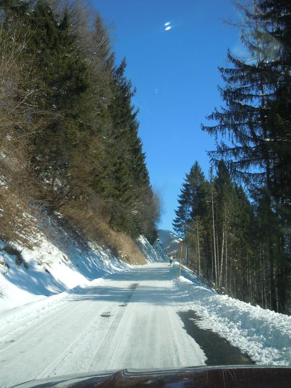 Areithof Daire Zell am See Oda fotoğraf