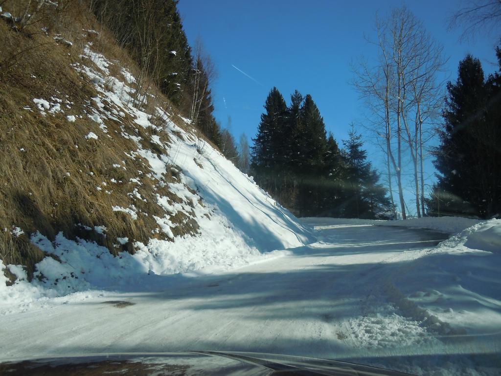 Areithof Daire Zell am See Oda fotoğraf