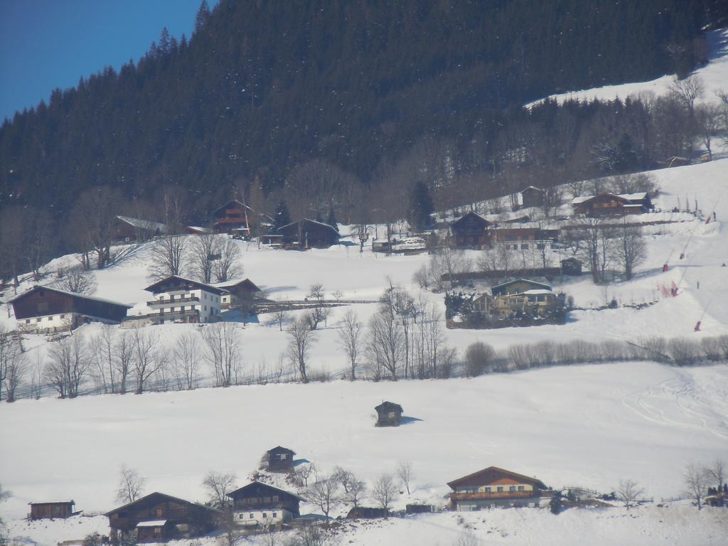 Areithof Daire Zell am See Dış mekan fotoğraf