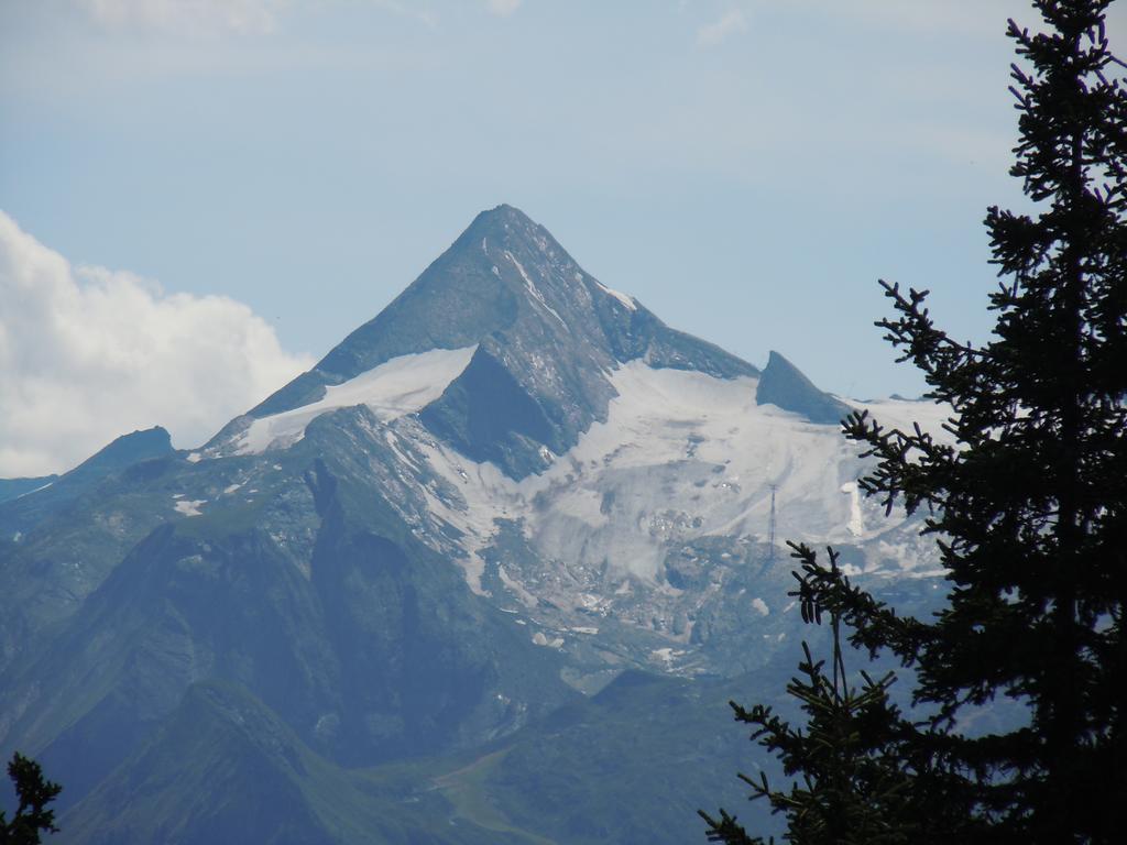 Areithof Daire Zell am See Dış mekan fotoğraf