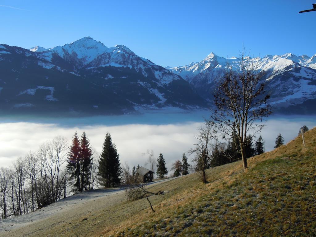 Areithof Daire Zell am See Dış mekan fotoğraf