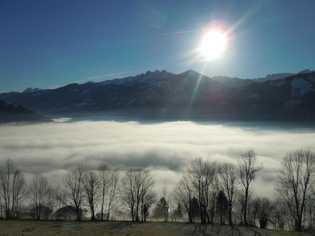 Areithof Daire Zell am See Oda fotoğraf