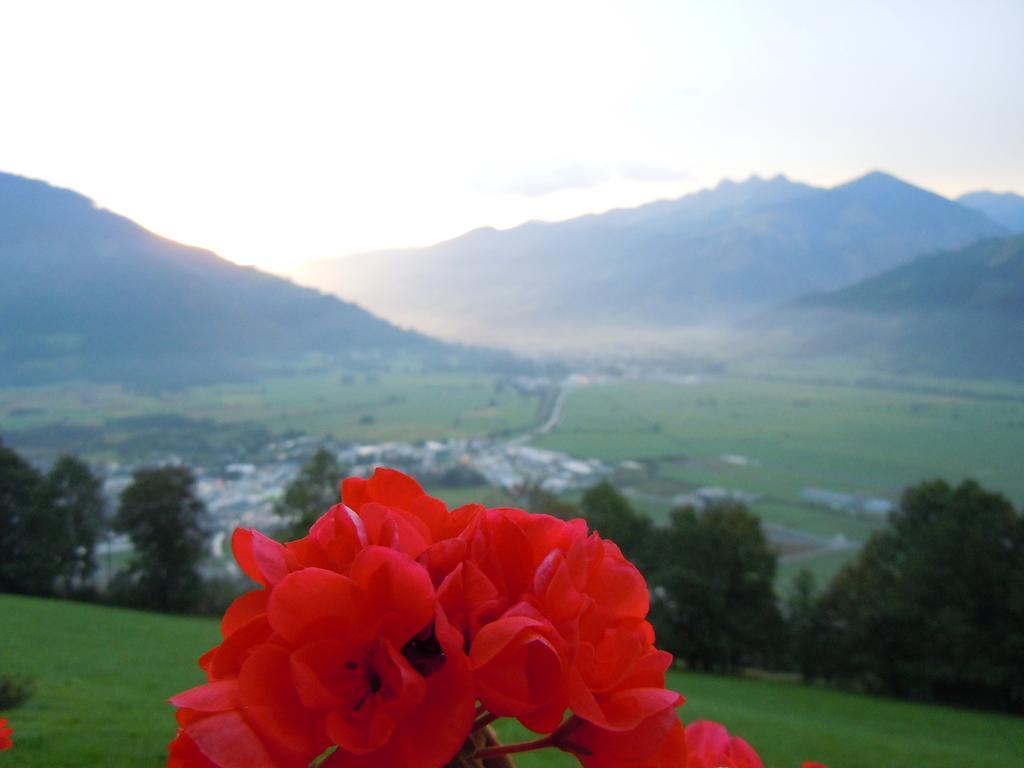 Areithof Daire Zell am See Oda fotoğraf